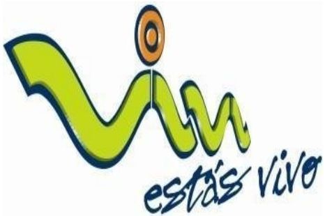 Mantenimiento de generador